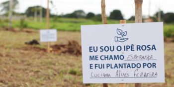 Ação ambiental movimenta moradores do SetValley