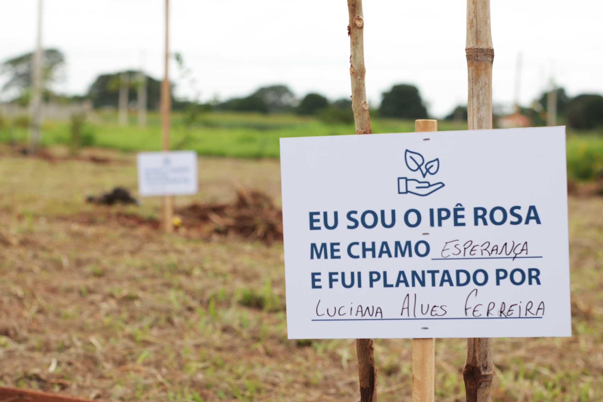 Ação ambiental movimenta moradores do SetValley