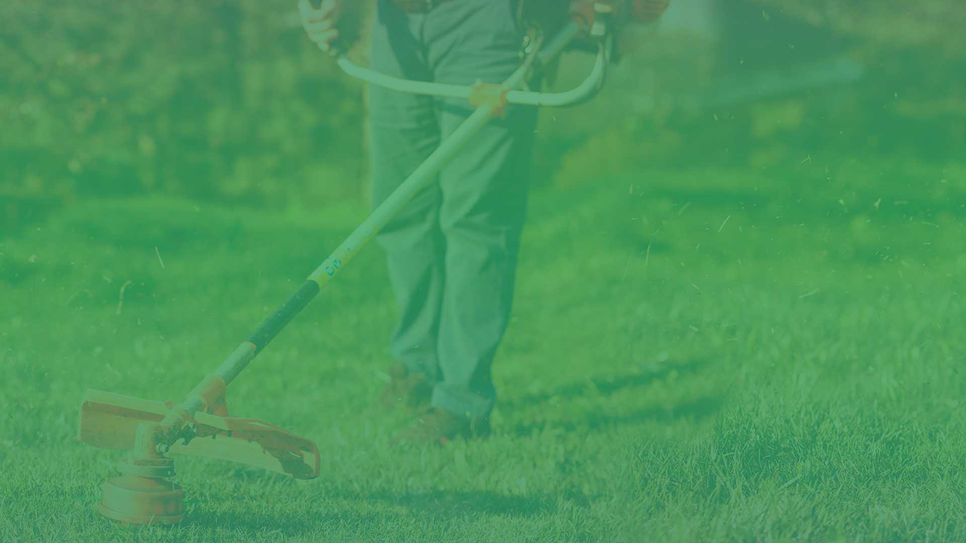 5 dicas para limpar um terreno