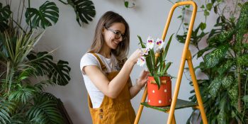 Tudo novo de novo! As tendências para decorar sua casa em 2021