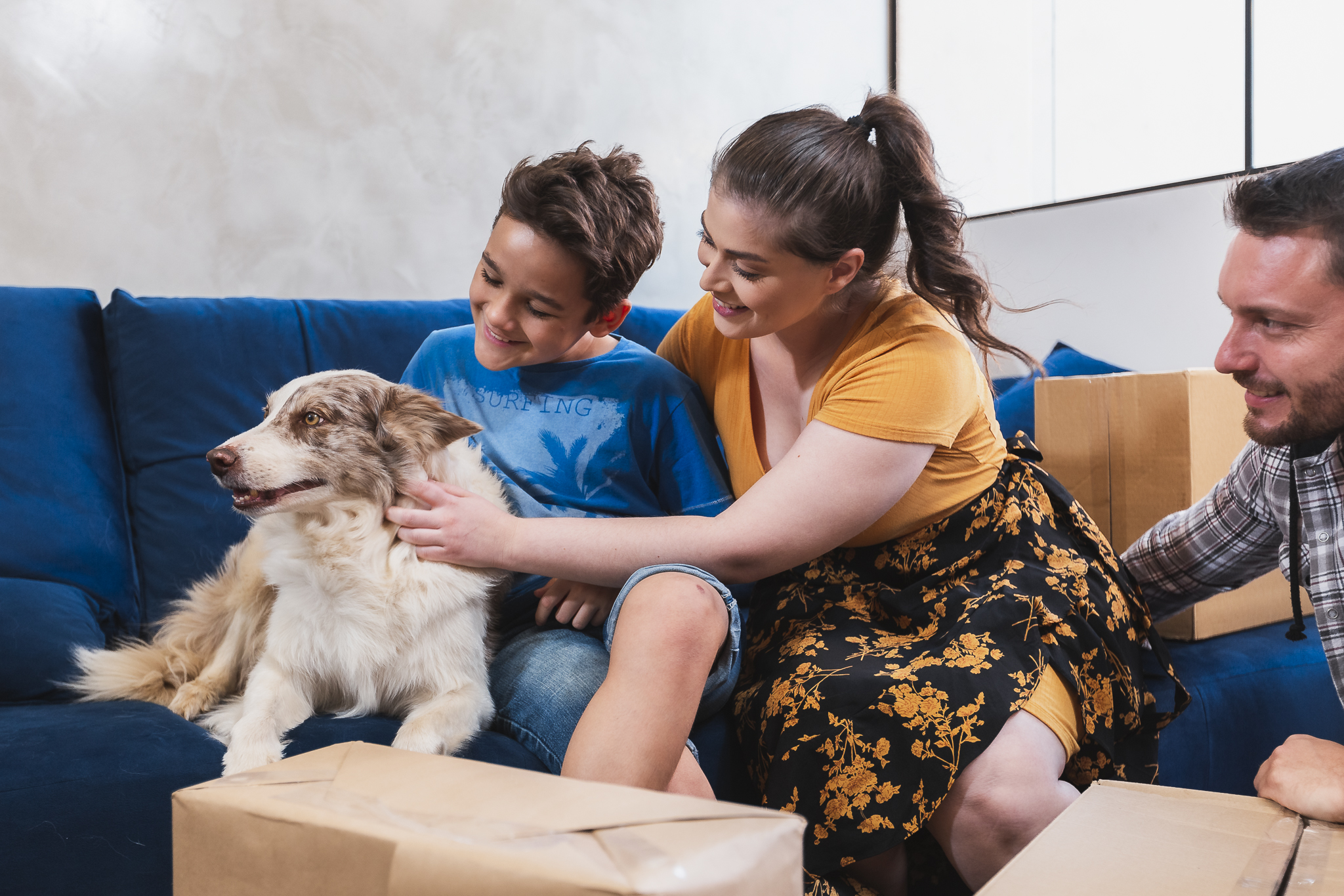Modelos de canil: conheça 5 tipos para sua casa